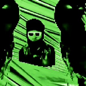 v0ID1337