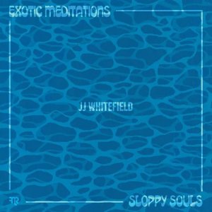 Image for 'Exotic Meditations/Sloppy Souls'