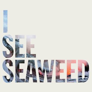 Image pour 'I See Seaweed'