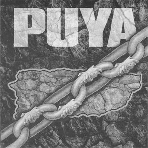Image for 'Puya'