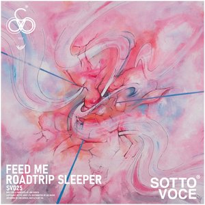 Zdjęcia dla 'Roadtrip Sleeper'