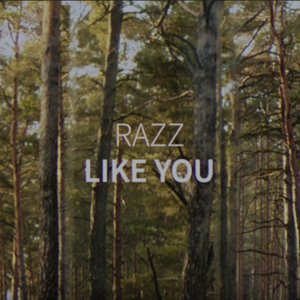 Image for 'Like You'