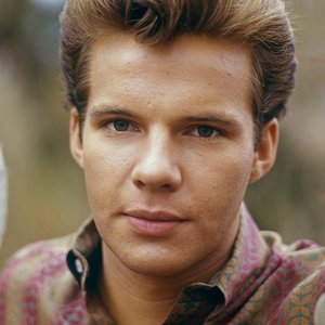 Image for 'Bobby Vee'