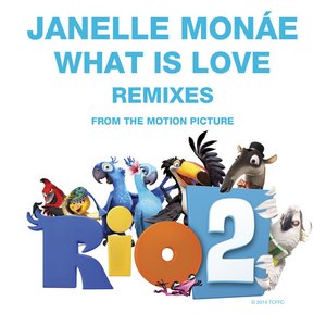'What Is Love Remixes'の画像