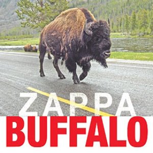 “Buffalo”的封面