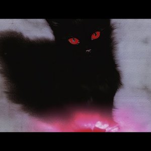 Image for 'since you left'