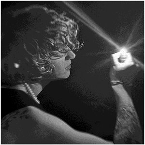 Image for 'NEVER CATCH THE LIGHT'