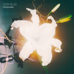 'FLASHBULB' için resim