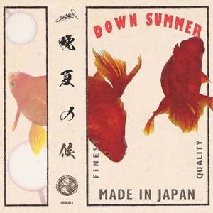 Image for 'Down Summer'