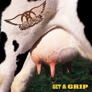 Image for 'Get A Grip'