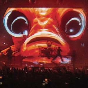 Bild för 'Goldfish ~ / The Jester (Live at Wembley)'