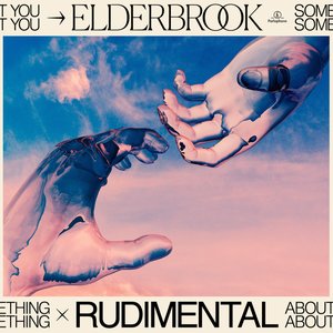 Image for 'Something About You (with Rudimental) [Alternate Versions]'