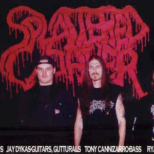 “Splattered Cadaver”的封面