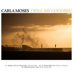 Image for 'I Will Say Goodbye'