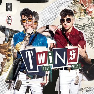 Изображение для 'Twins'