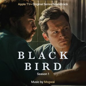 Image pour 'Black Bird (Season 1)'