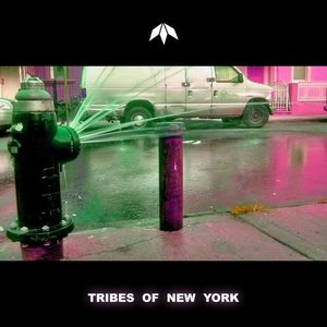 Image for 'Tribes of New York'