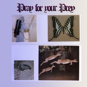 Immagine per 'Pray For Your Prey'