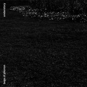 Image for 'Understory'