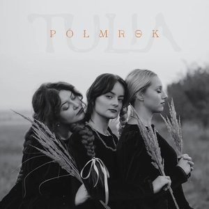 “Półmrok”的封面