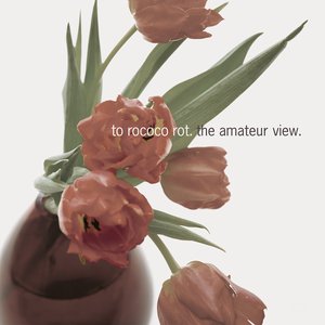 “The Amateur View”的封面