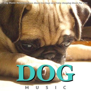 Image for 'Dog Music: Relaxing Piano Music for Dogs and Calm Sleeping Music for Pets'
