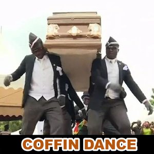 'Coffin Dance' için resim