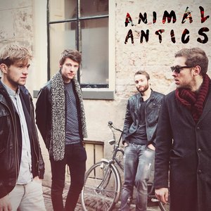 'Animal Antics'の画像