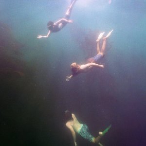 Bild für 'Rec Hall'