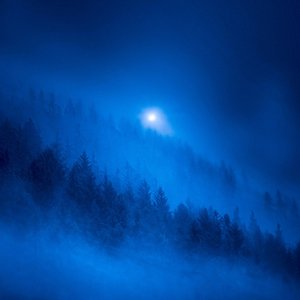 Image pour 'as the light fades'