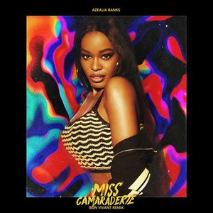 Image pour 'Miss Camaraderie (Bon Vivant Remix)'