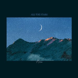 Image for 'All the Stars'