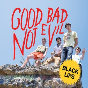 Image for 'Good Bad Not Evil (Deluxe Edition)'
