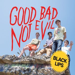 “Good Bad Not Evil (Deluxe Edition)”的封面