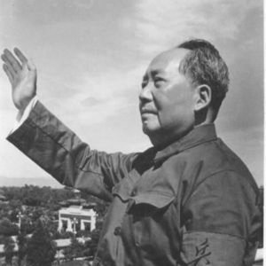 “Мао”的封面