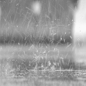 Image for 'Rain'