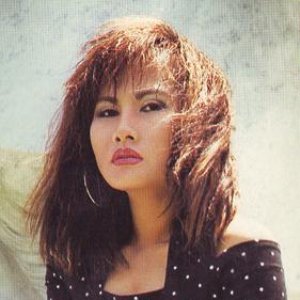 “Như Mai”的封面