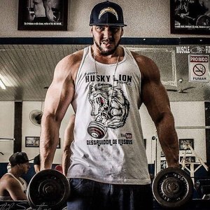 “Husky Lion”的封面