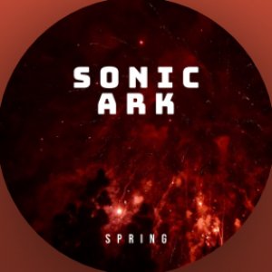 Image pour 'Sonic Ark'