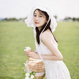 “白鹿”的封面