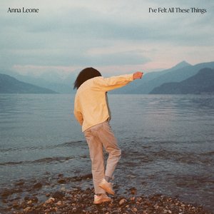 Image pour 'I've Felt All These Things'