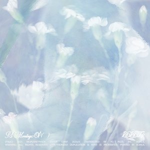 Image for 'The 1st Album 'A Montage of ( )''
