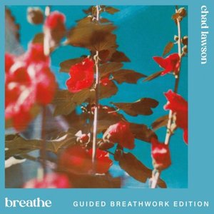 “breathe (guided breathwork edition)”的封面