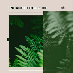 Image for 'Enhanced Chill: 100'