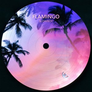 “Flamingo”的封面