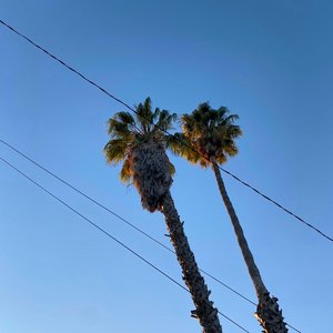 110% - Single