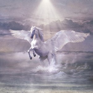 'Sulle ali del cavallo bianco'の画像