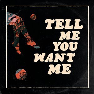 Image for 'Tell Me You Want Me'