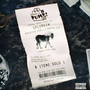 “Splurgin”的封面