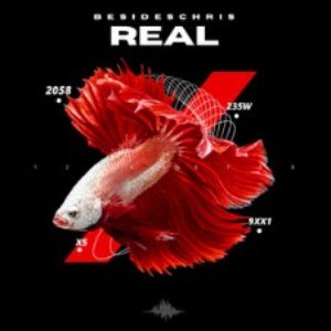Image for 'Real The Album'